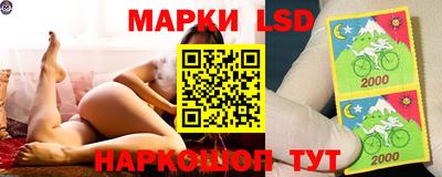 гашик Канаш