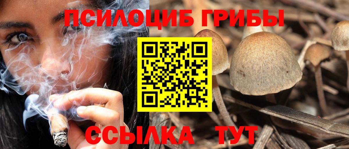 Псилоцибиновые грибы Cubensis  Вход с VPN  Галлюциногенные грибы Magic Shrooms  Кувандык 